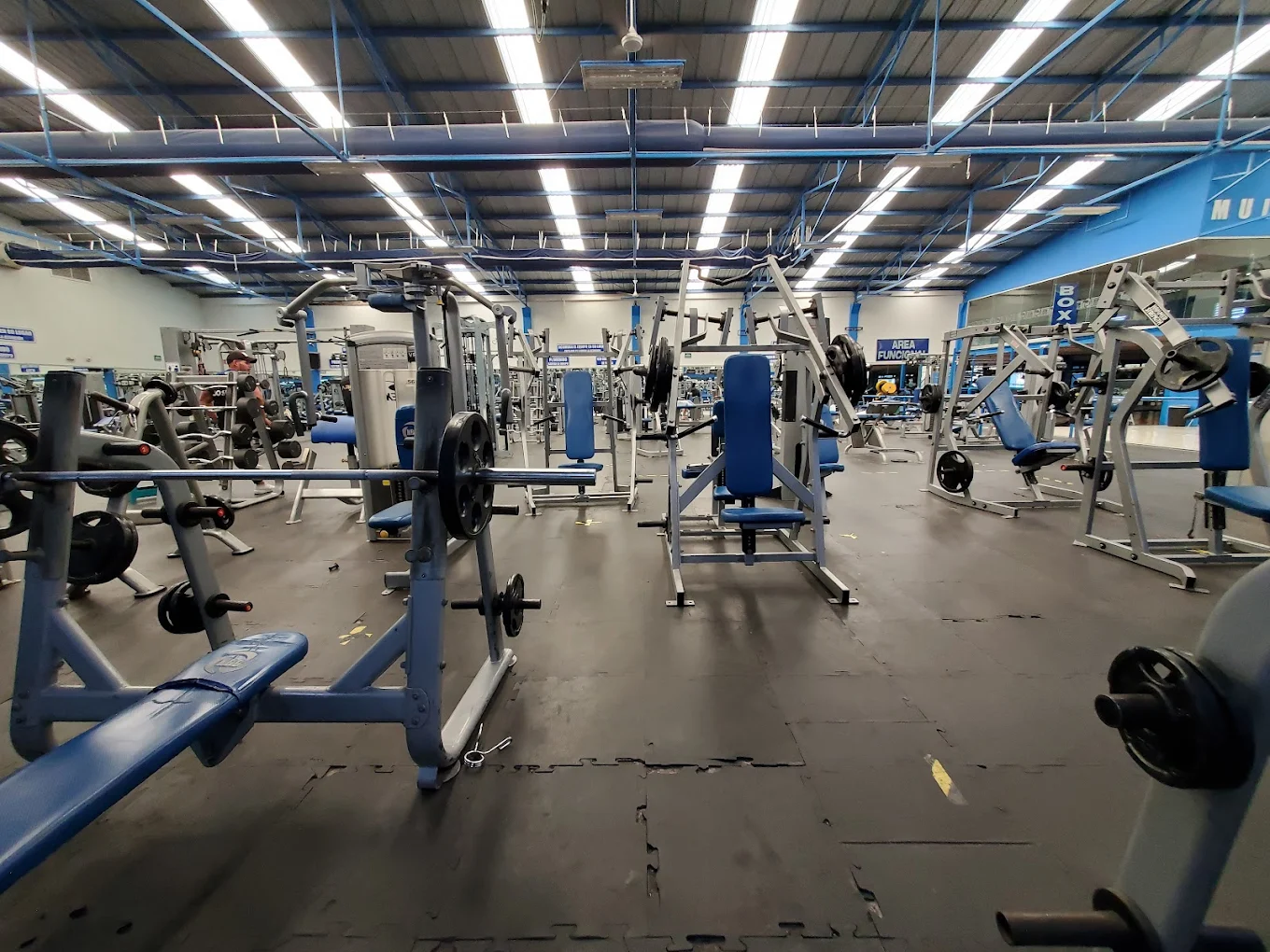 Gym Interior